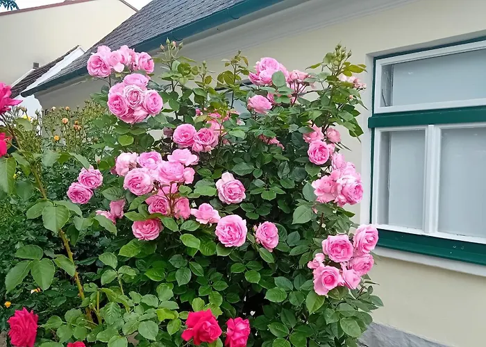 Ferienhaus Anna