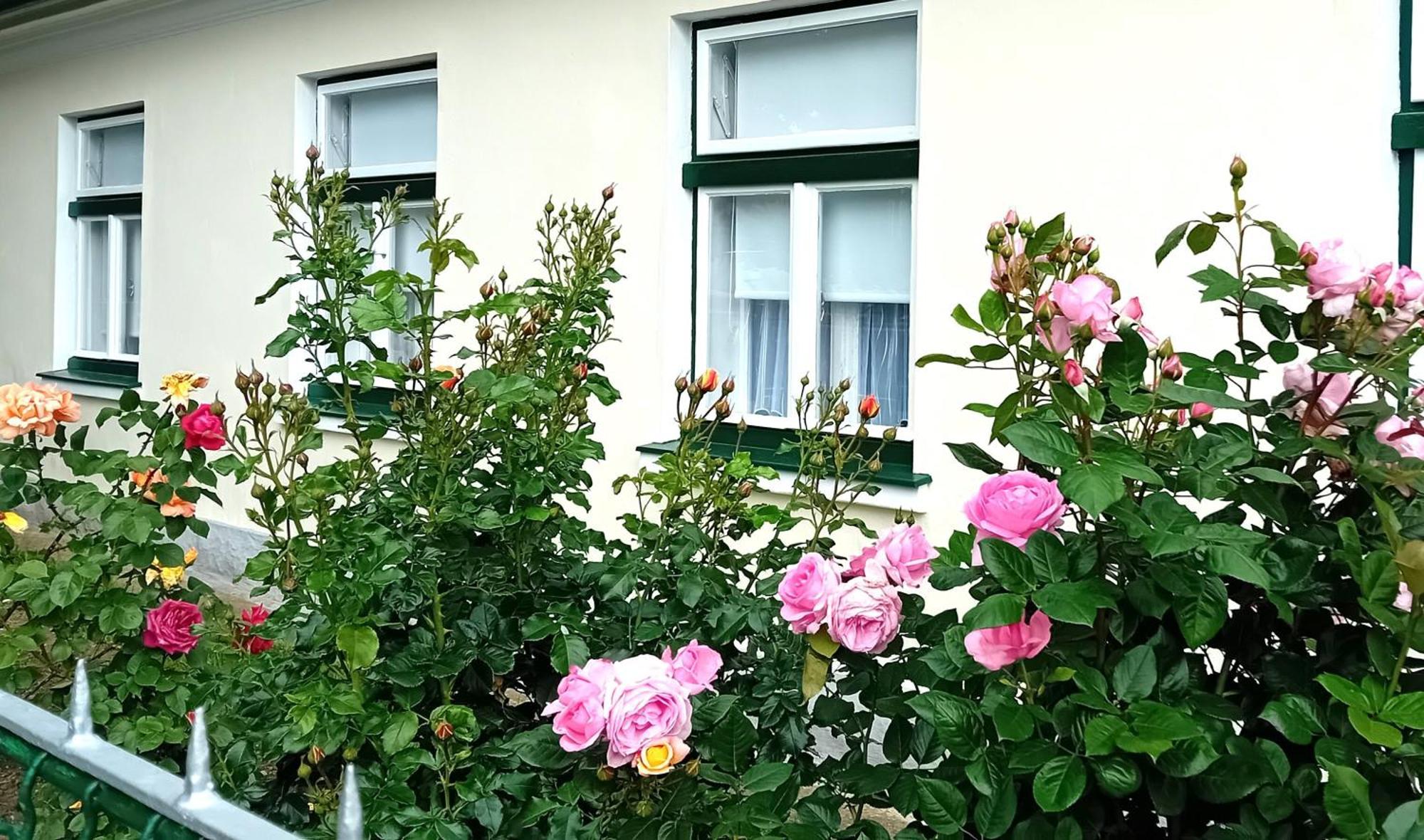Casa vacanze Anna