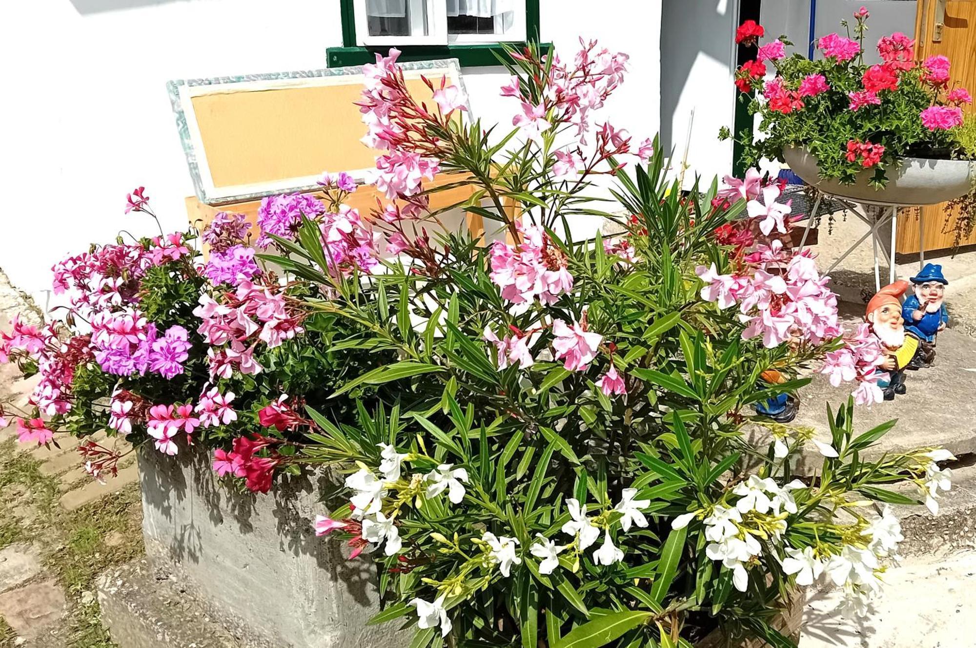 Casa vacanze Anna Prottes