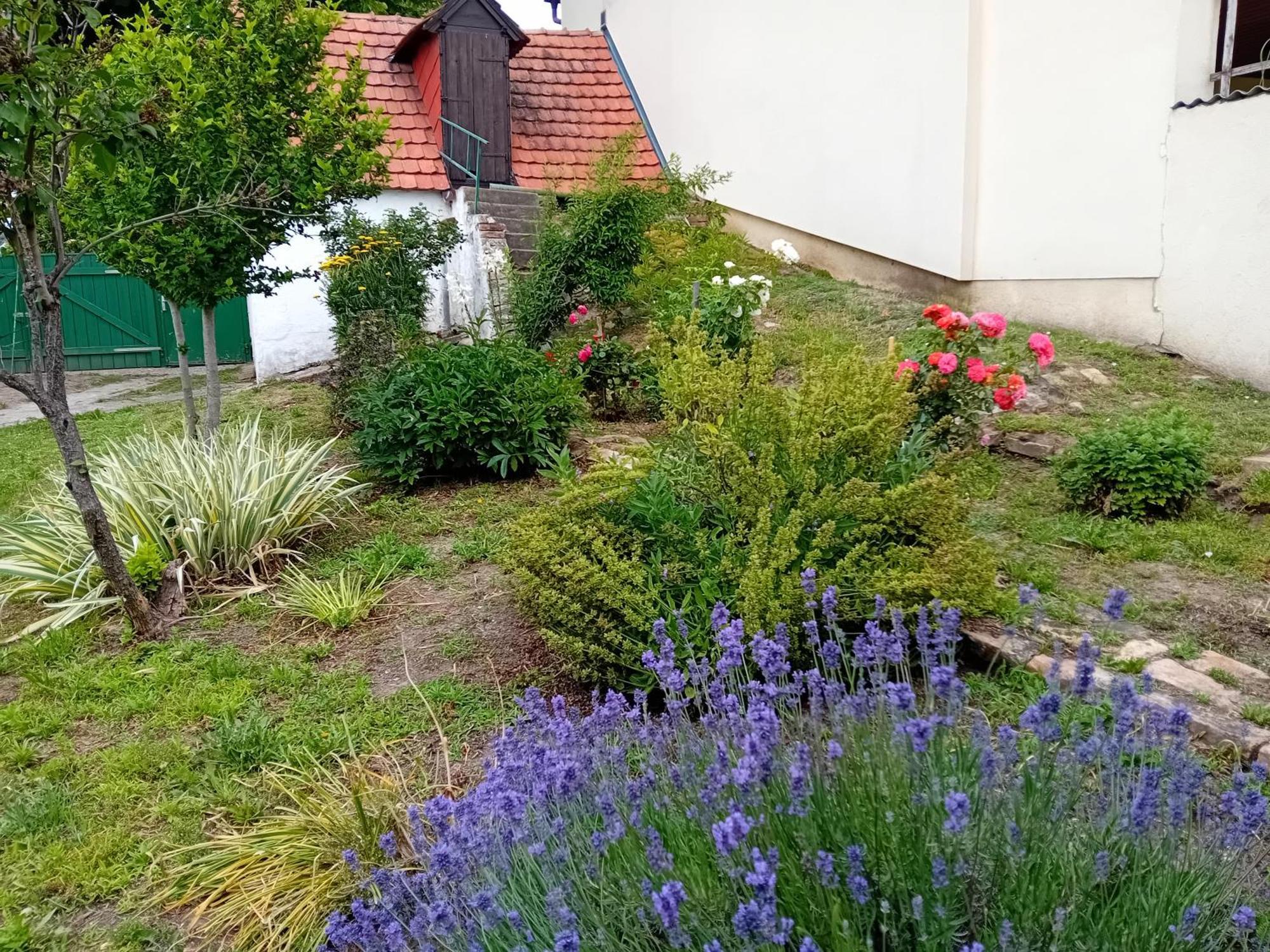 Anna Holiday home Prottes